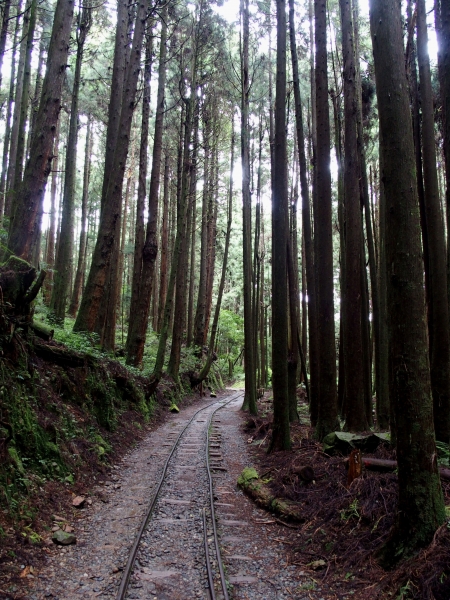 特富野古道90536