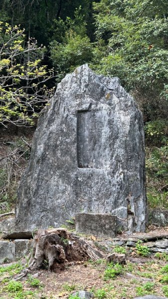 秀林天祥合流綠水文山步道2140200