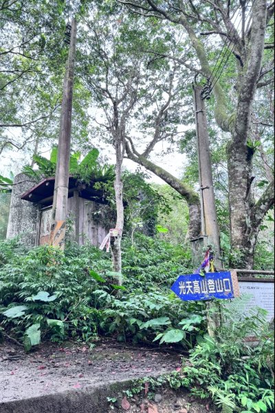 光天高山 - 向天湖山(小百岳32) 小O一圈2877133