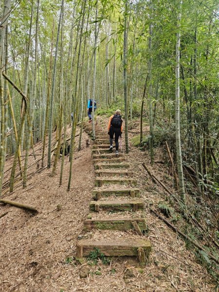 20241214竹崎15連峰(四大天王山到大湖尖山路況荒涼)2668996