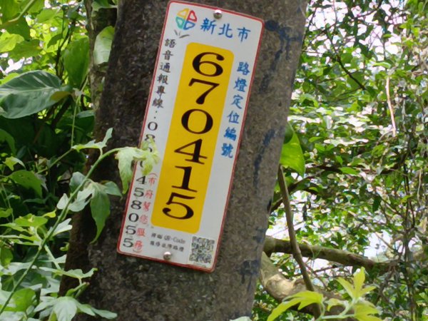 瑞芳區瑞芳四秀(白象山+秀崎山+瑞芳山+龍潭山)2785210