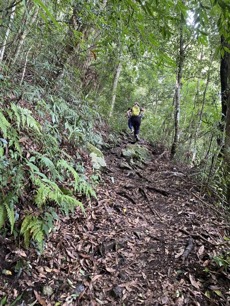 20250713-Ep.10李崠山步道-2025森遊竹縣皮皮獅探險隊2851937