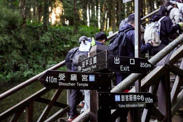 眠月線｜唯美森林鐵道3037102
