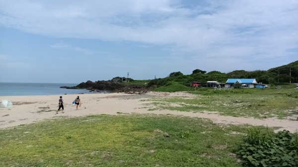貢寮區龍洞灣岬+金沙灣野百合花3049158