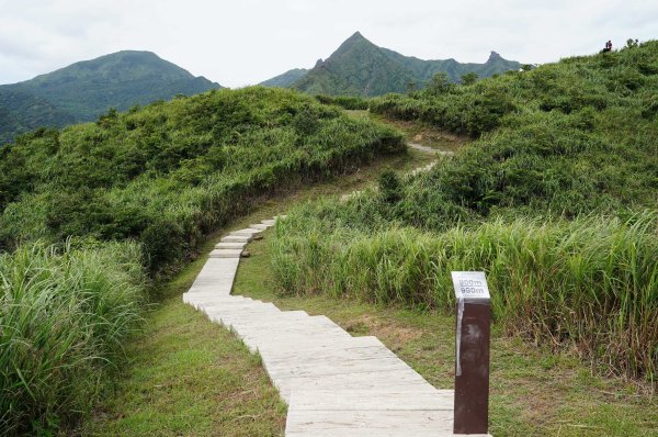 新北 瑞芳 南子吝山2836955