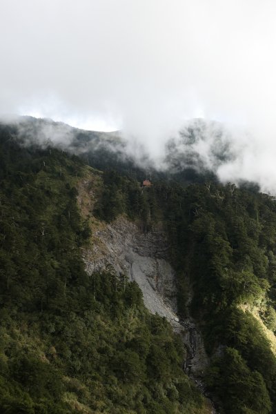 能高安東軍縱走之鹿1192736