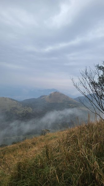 2026-0116 大屯三山_貴子坑_北投2984855