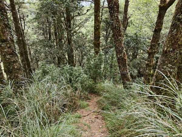 北一段(04/14)中央尖山 2025_0906~132885407