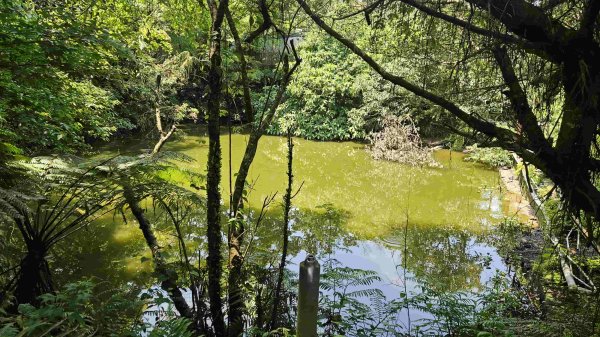 20250427魚衡山-南峰-南南峰-猴山岳北北峰-北峰-主峰-前峰-西峰下指南宮2771954