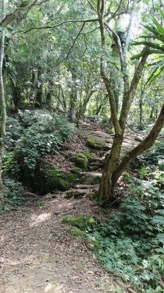 20251004 馬那邦山 - 珠湖 登山口2904935