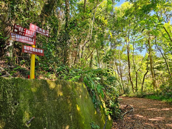 小百岳集起來-大橫屏山2185696