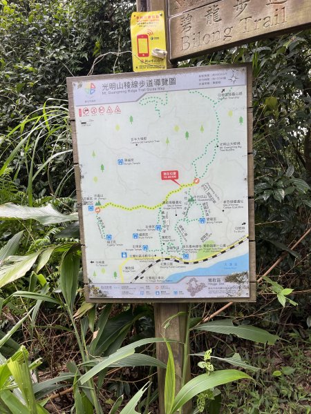 [微笑山線_第二段] 2025_0720 大棟山系_百年大榕樹2843338