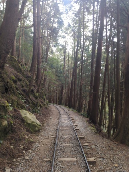 2026.02.14－特富野古道3013702