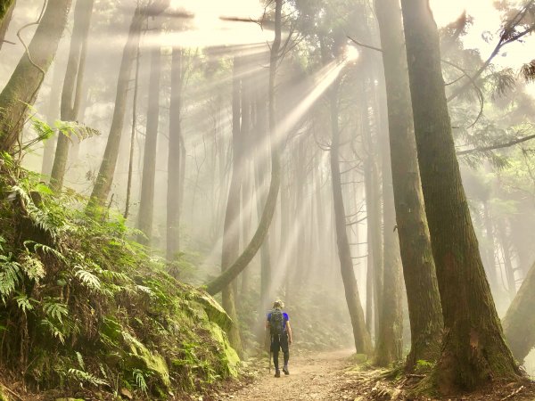 谷關七雄屋我尾山＆橫嶺山782039