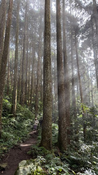 加里山 2025 12/282971713