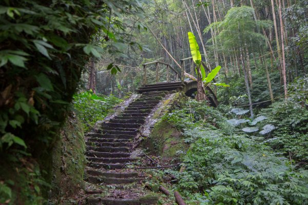 步道巡訪員 l 四大天王山步道第11巡～1177784