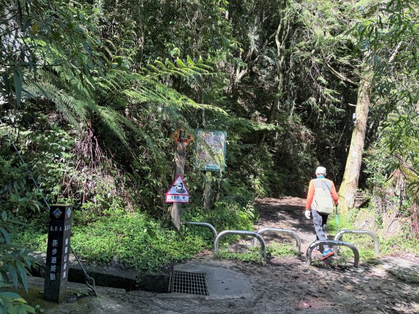 橫嶺山走走避暑趣 2025.6.112815431