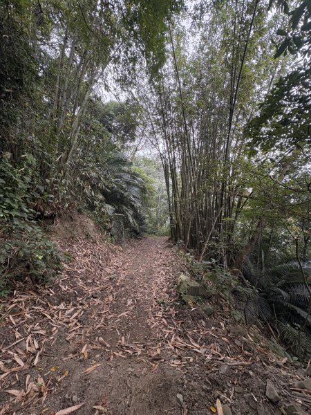 20251108西阿里關山步道(小林村東側登山口啟登)2933488