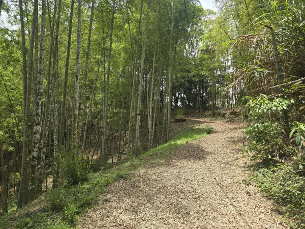 20260516 小百岳-南投集集大山3056234
