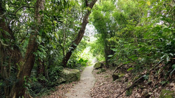 玉田古道,大湖越嶺保甲路2582305