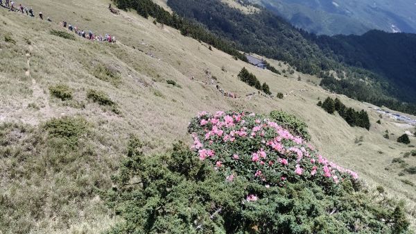 小奇萊步道+合歡山群峰334400