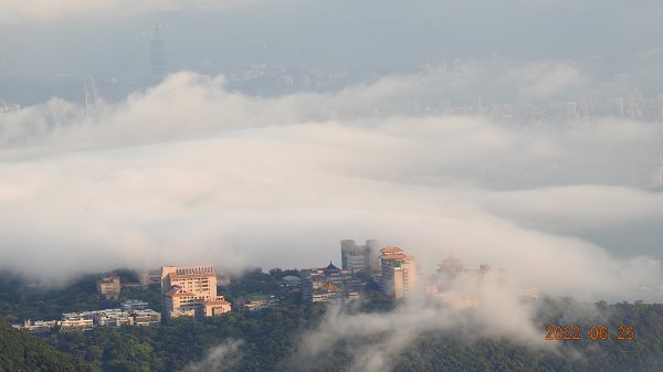 雲山水花鳥蝶-天龍國阿伯的日常6/25&261744394