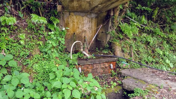 滴水子產道1737582