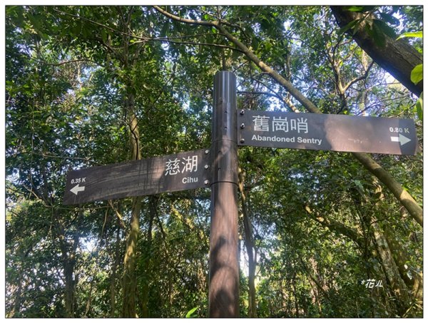 草嶺山、白石山、頭寮山 六連峰 O型路線2798531