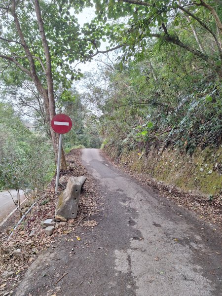 北港溪峽谷202602092995631