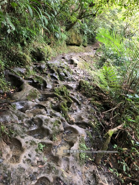 三貂嶺越嶺猴硐步道1035720