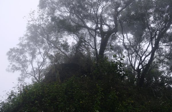 烏山嶺水利古道2799200