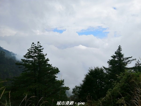 【南投。仁愛】走一段悠悠歷史的能高越嶺道x 入住台灣百岳的五星級天池山屋1376670