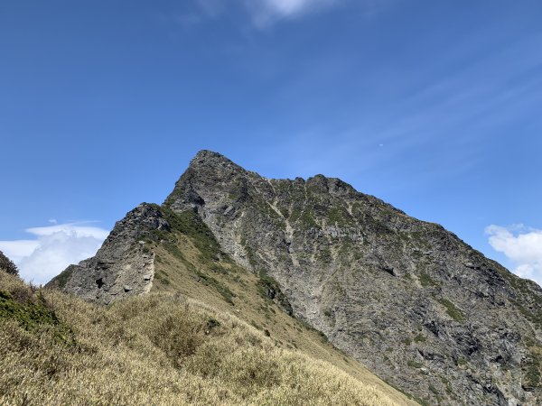 【百岳】奇萊北壁下屏風，驚險刺激的旅程2392016