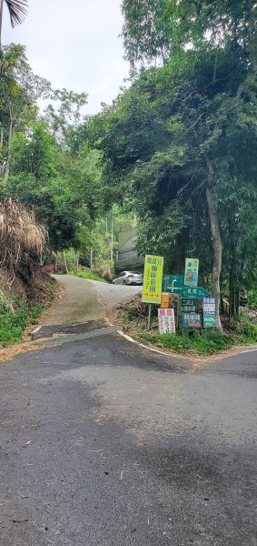 2024-05-18梨子腳山步道2507925