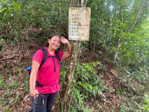 苗栗縣獅潭鄉鳴鳳古道O型縱走2802509