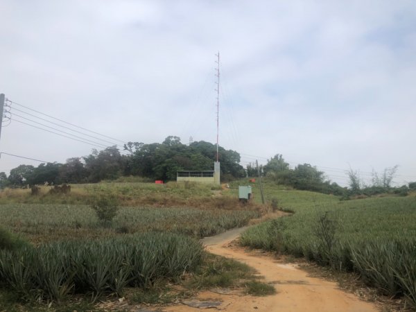 嘉義民雄松子腳山一等點 南松子腳山三等點1216181