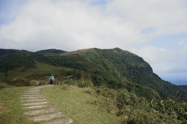 灣坑頭山 桃源谷步道 連走2034811