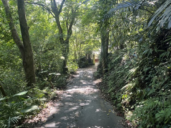 [皮皮獅Hike客任務-07/10] 2024_0831 大山背麒麟步道2586101