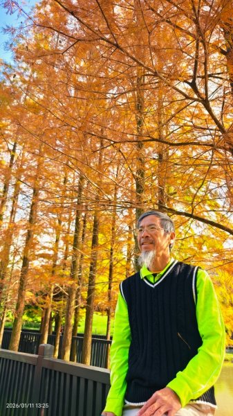 #花卉試驗中心 #永公路500巷 #平菁街42巷 #原住民公園 #士林官邸 1/42980410