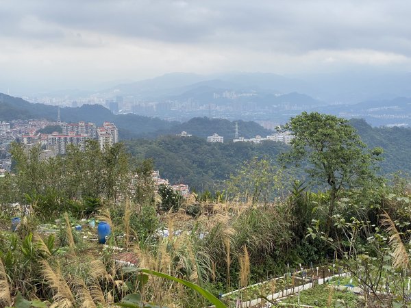 2024/01/26 南勢角山 文筆山 天上山 火焰山2729768