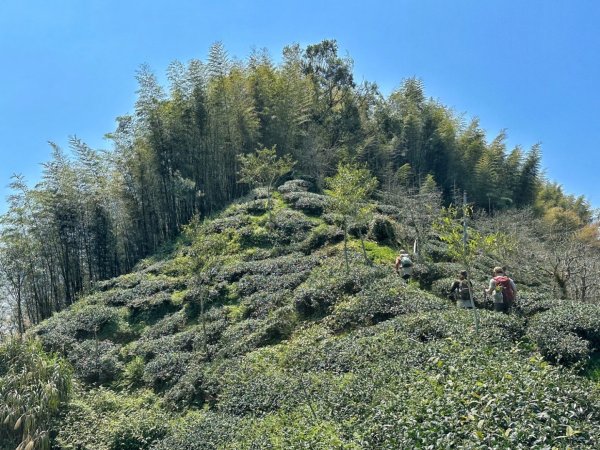 溪頭六連峰O繞2741803