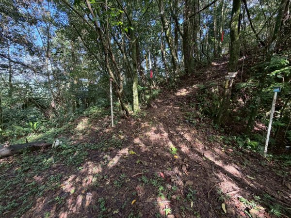 虎豹雙棲越野17K複習跑-part23072609