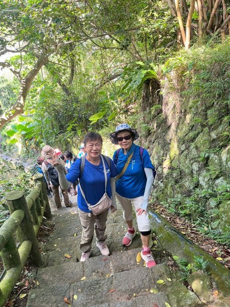天母水管路步道→天母古道→磺溪→白雲瀑布【發現陽明山、臺北健走趣】2864637