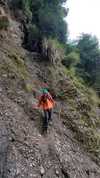 閂山鈴鳴-比人高的箭竹心累的鈴鳴1451545