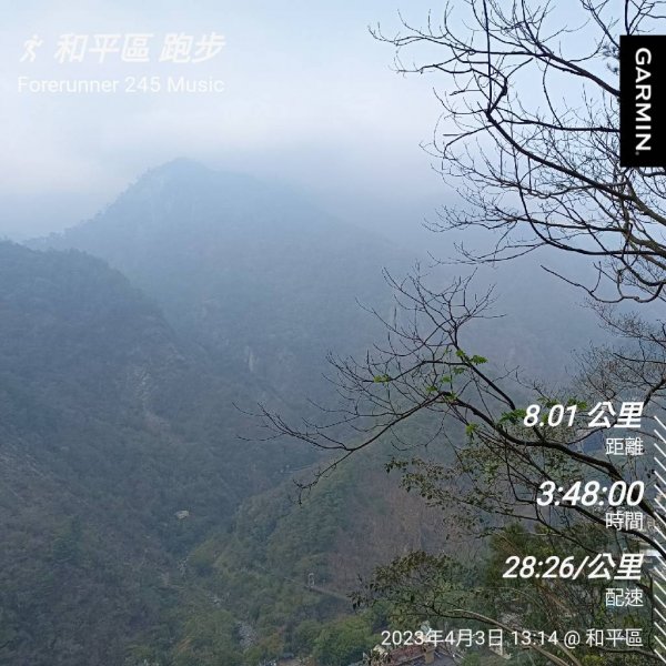 20230403台中和平西谷關、西谷關山西南、西谷關山西北峰西、西谷關山北、谷關山北、新天輪、谷關山2093148