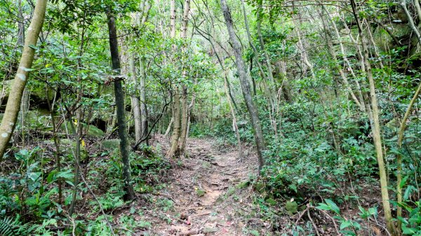 大邱田石門洞2856200