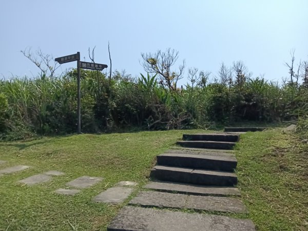貢寮區龍洞灣岬步道+大禮堂海岸+釣客小徑+金沙灣碉堡野百合2765120