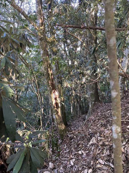 屋我尾山3059390