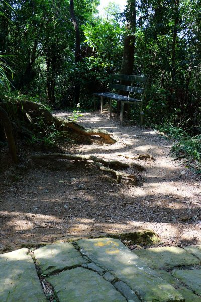 金面山。文間山。劍潭山523797