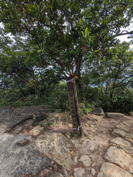 2024-05-12 軍艦岩、丹鳳山越野跑2793772